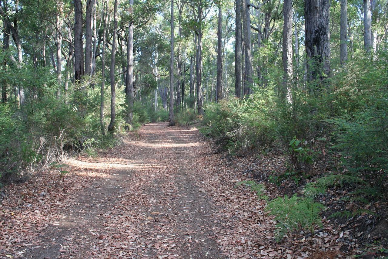 Wellington Forest Cottages المظهر الخارجي الصورة
